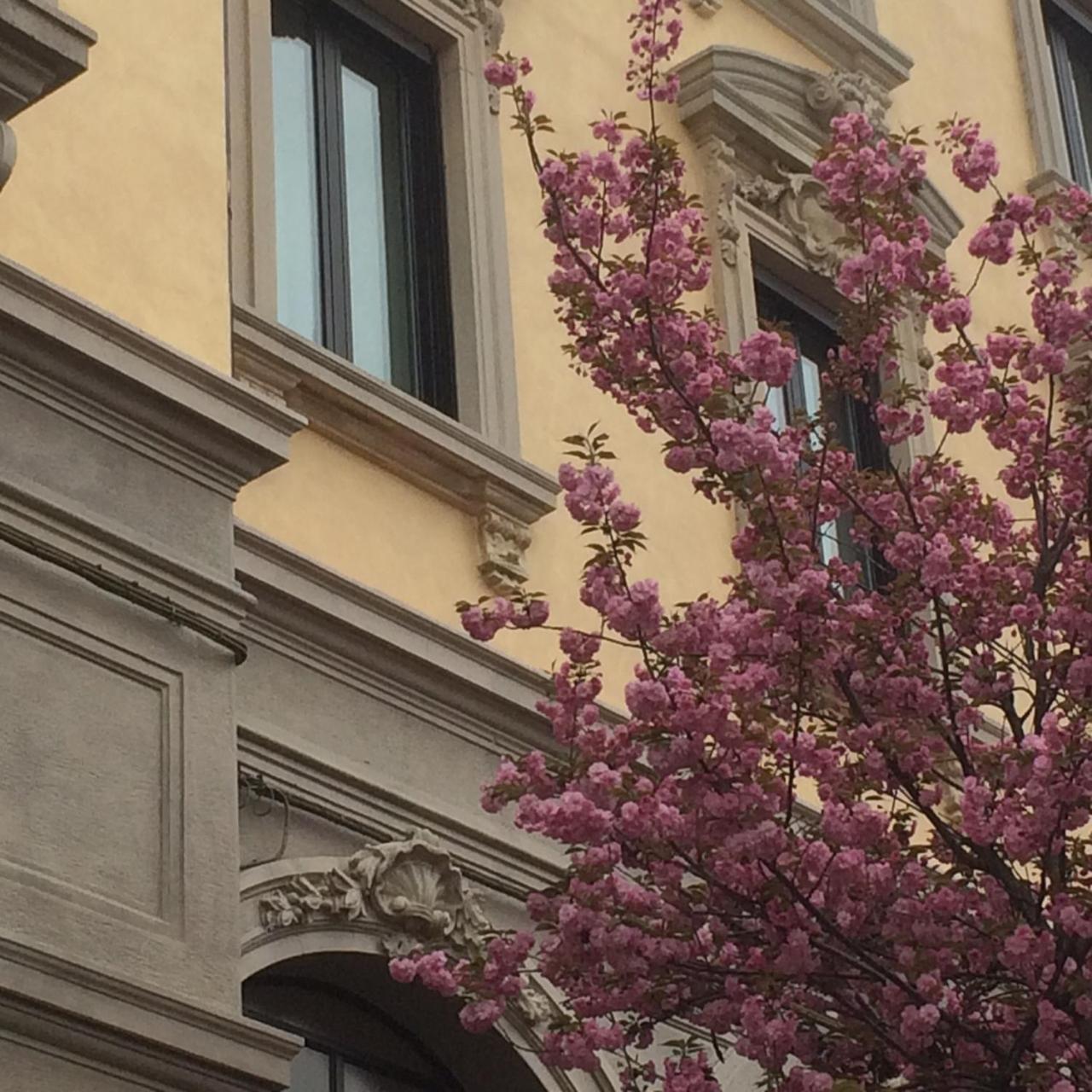 Hotel La Nuova Rotaia Gallarate Luaran gambar